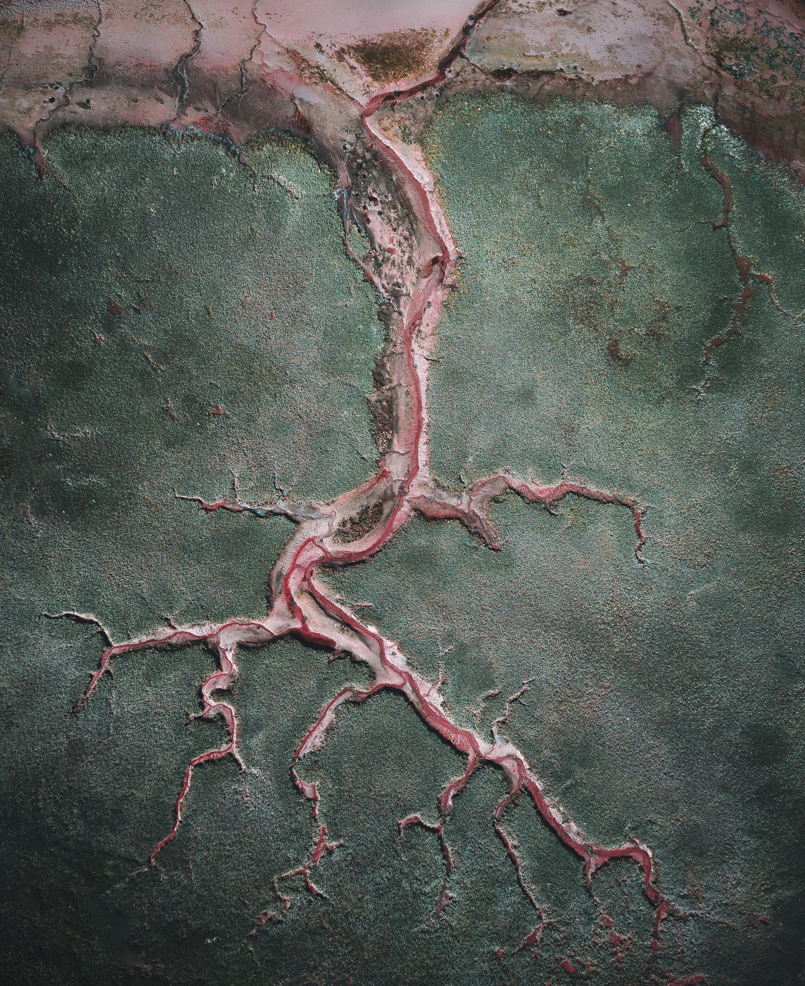 Blood vessels of the earth