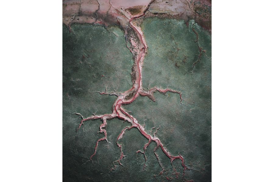 Blood vessels of the earth