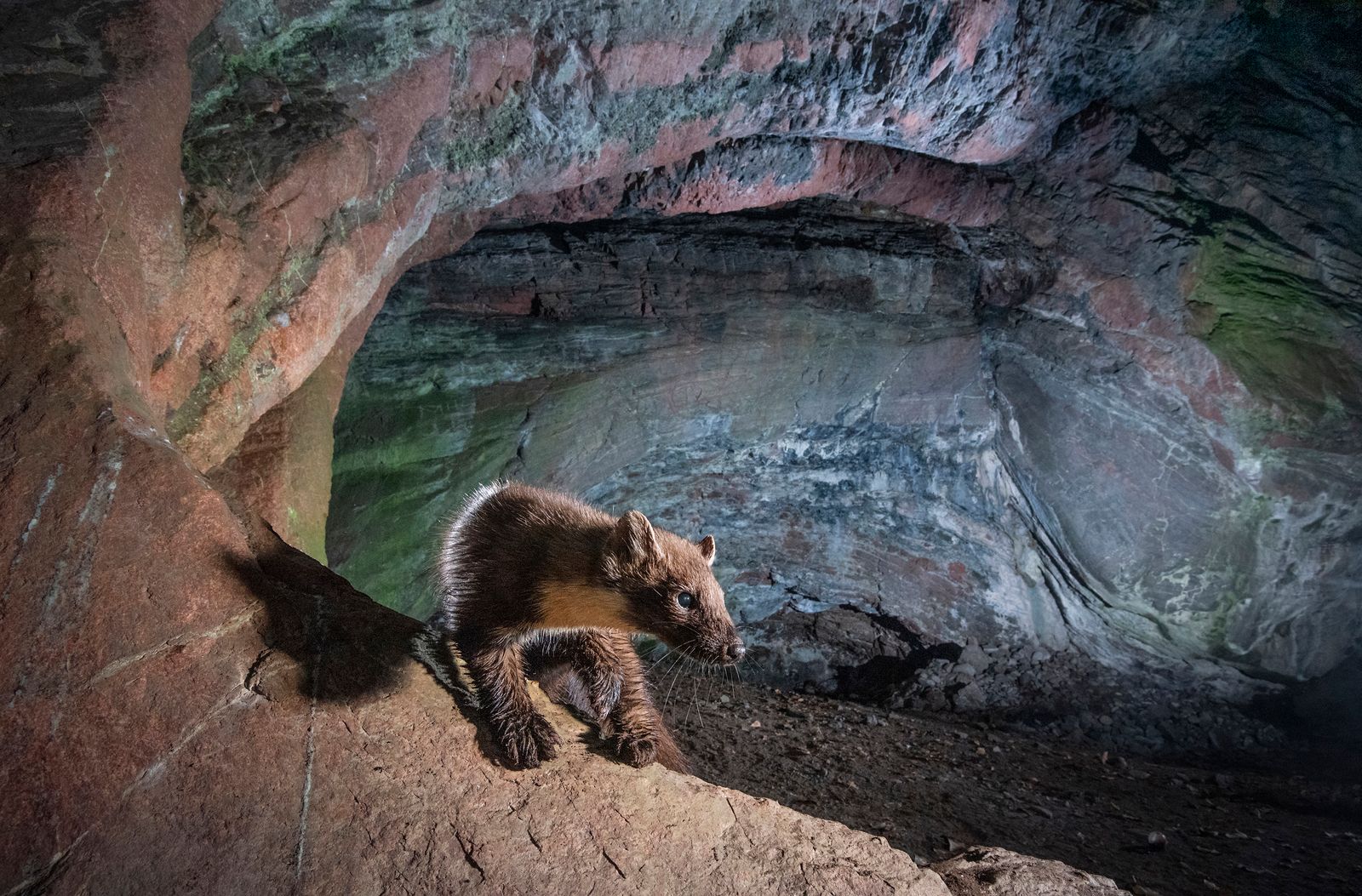 Cave visitor