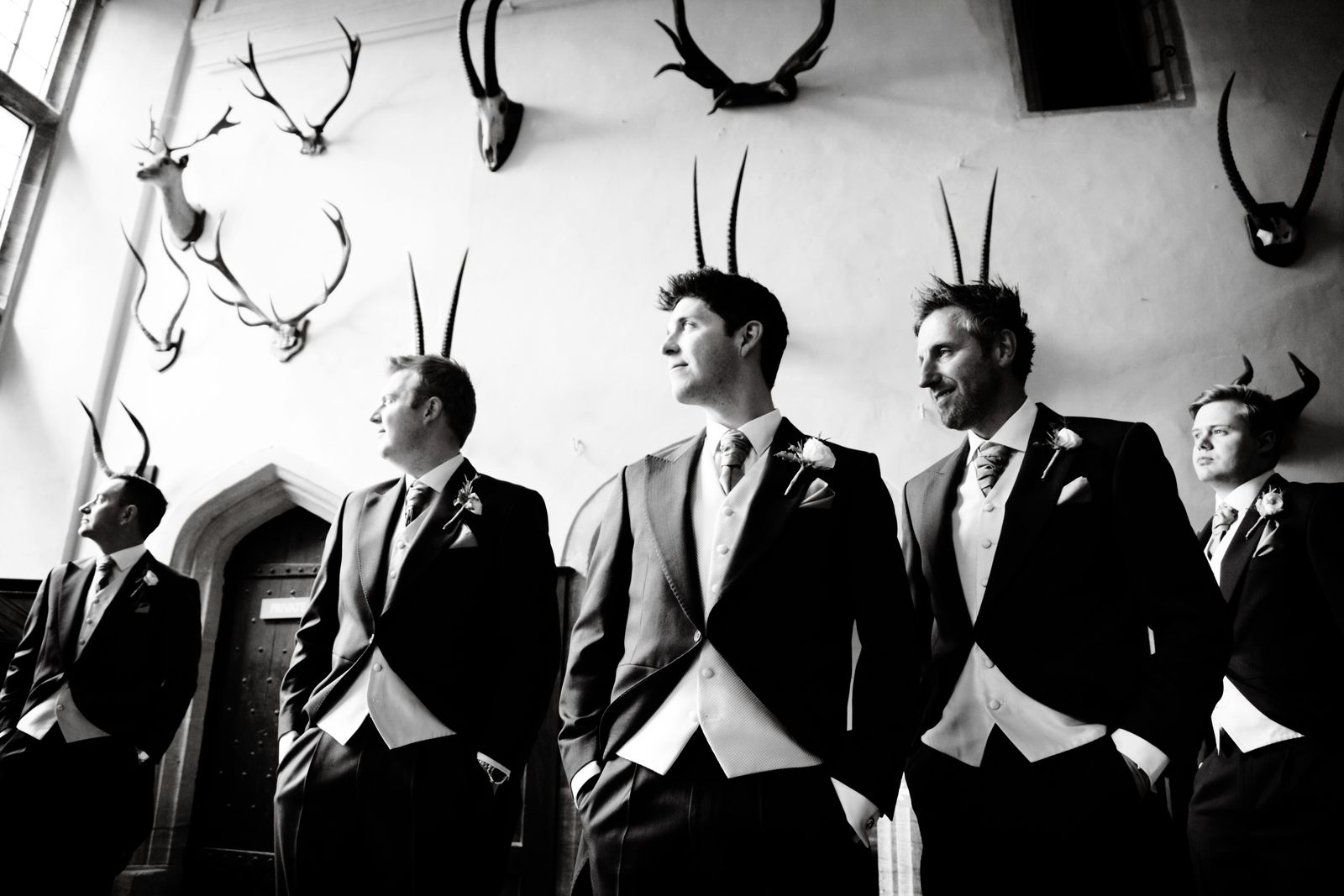 Stags 