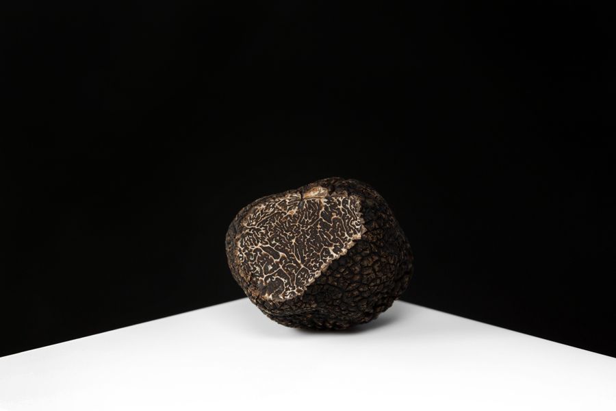 Portrait of a truffle
