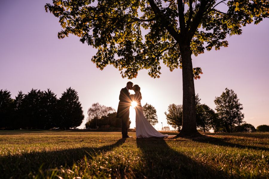 Sunlit Promise