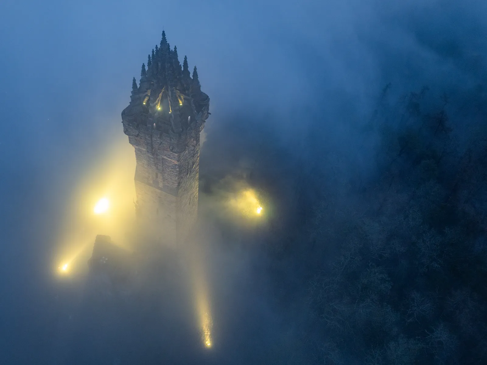 Crown of Light