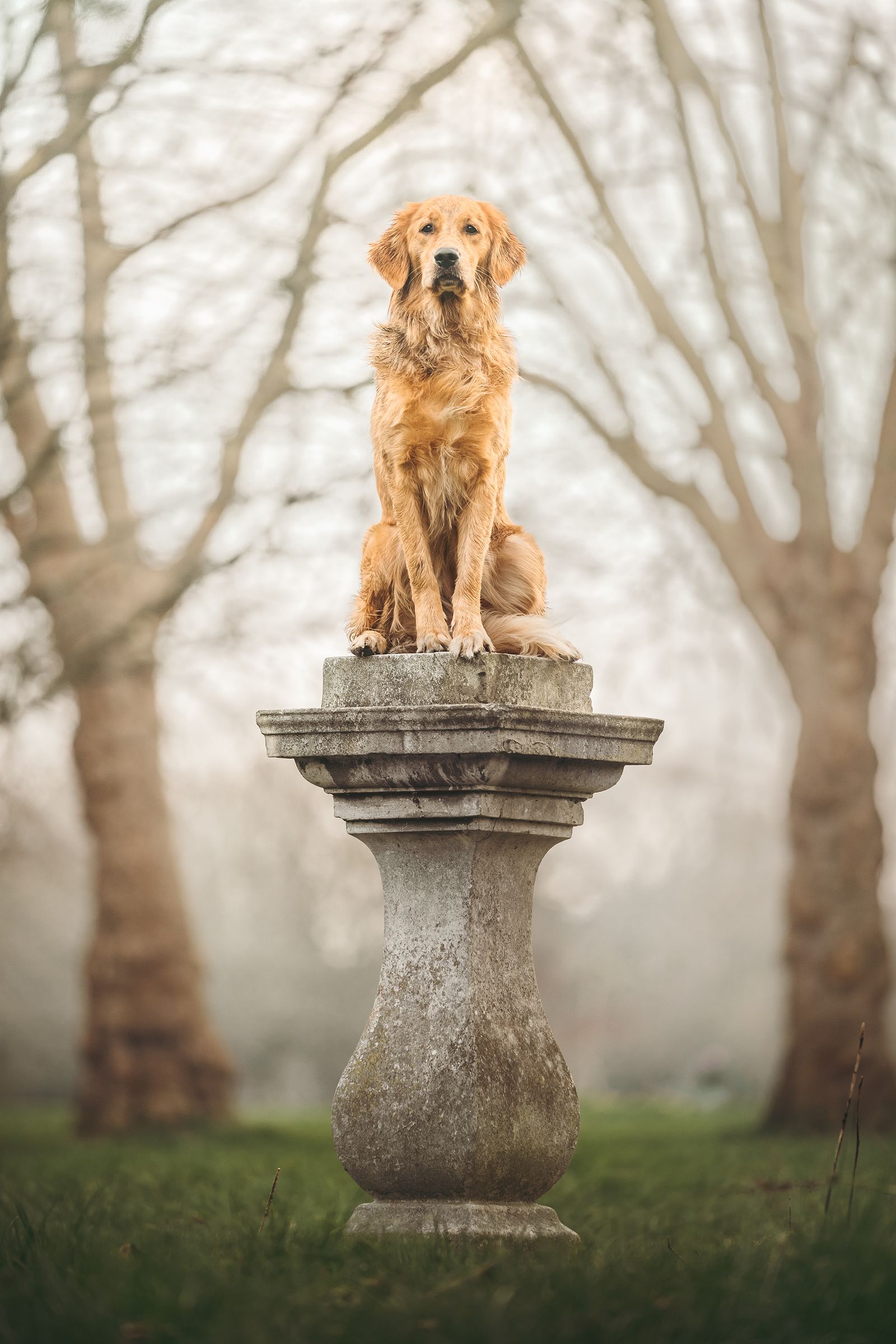The Golden Statue of Lammas Park