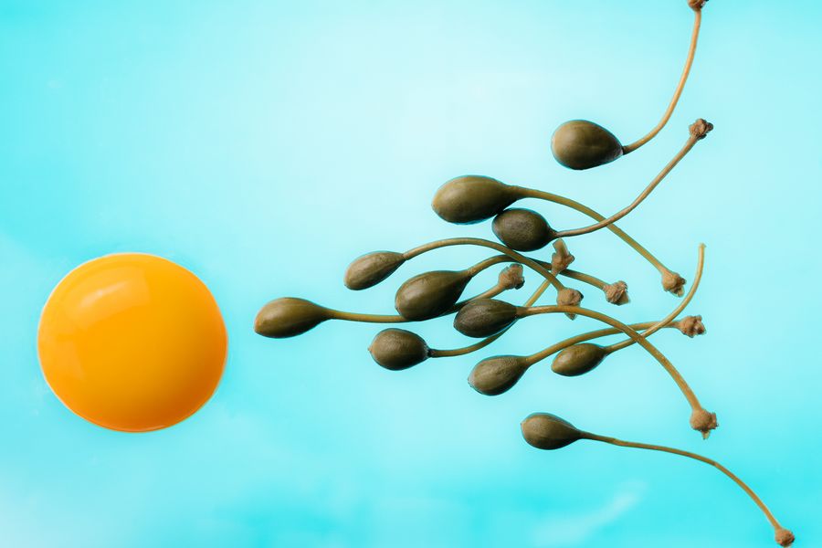 Conception