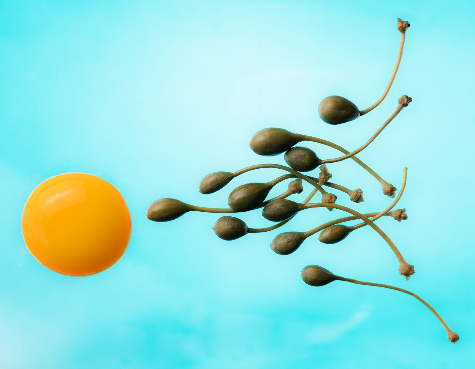 Conception
