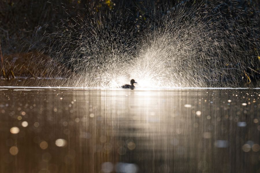 Champagne Bath