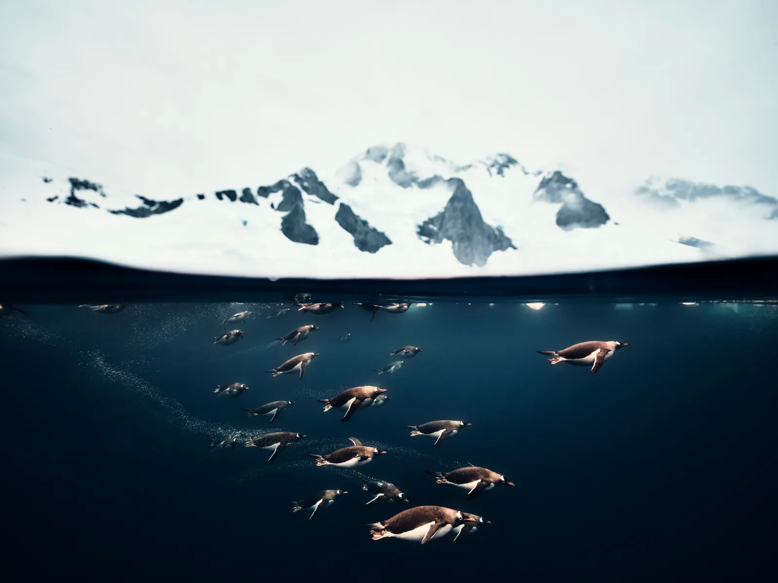 Where Ice meets Sea