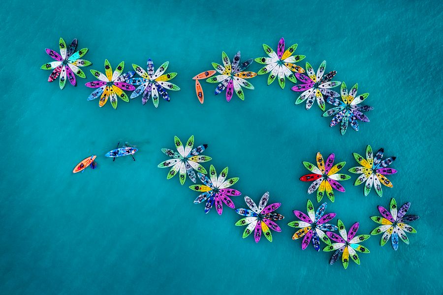 Rowing in Water Flowers