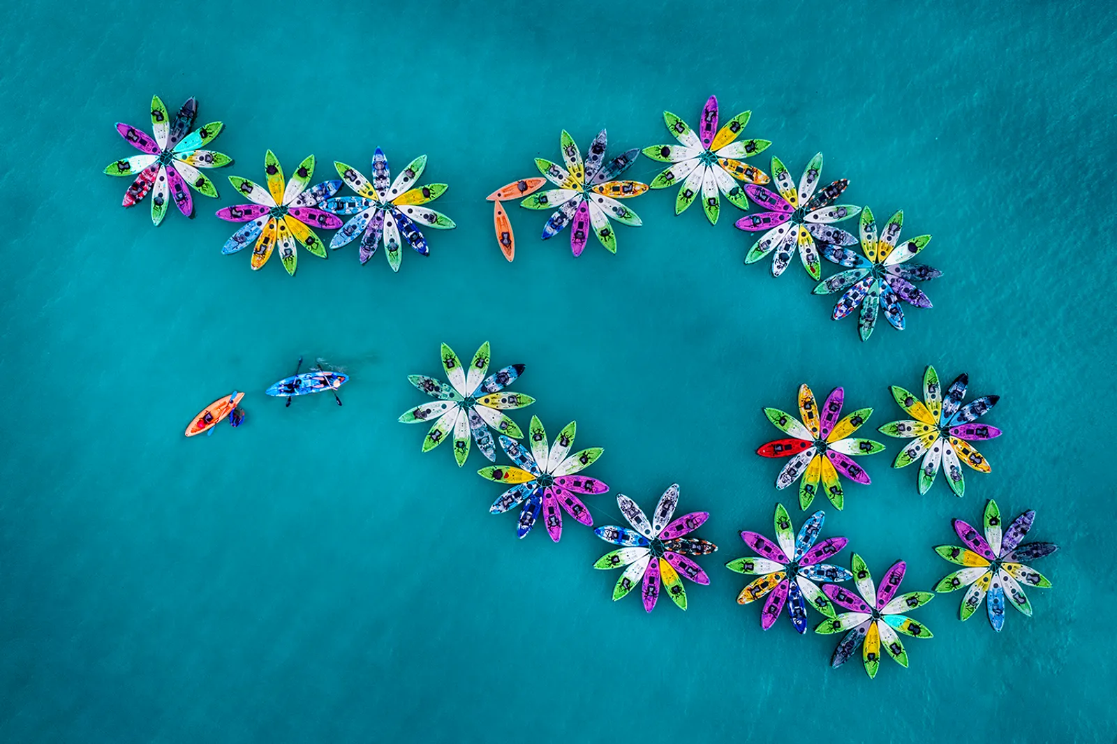 Rowing in Water Flowers
