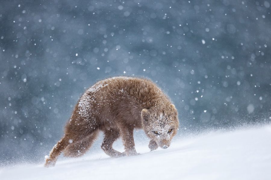 Through the spindrift