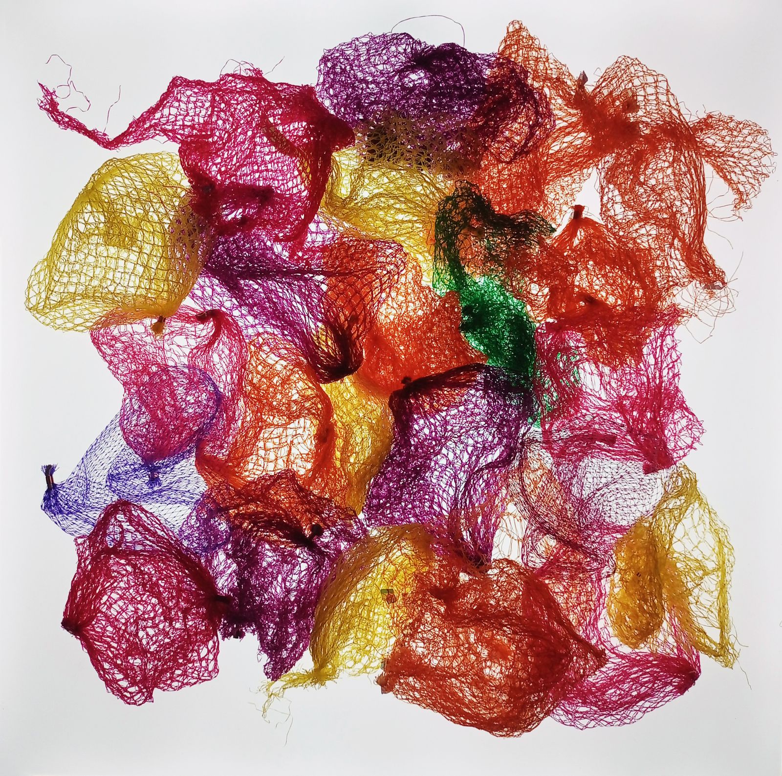 Fruit packaging nets