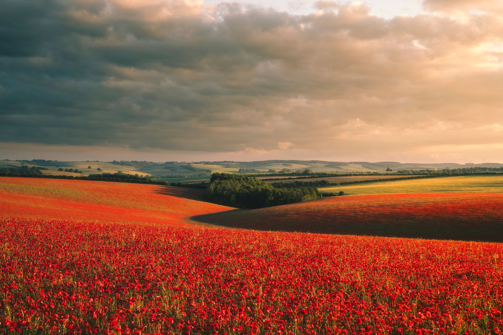 Lest we Forget