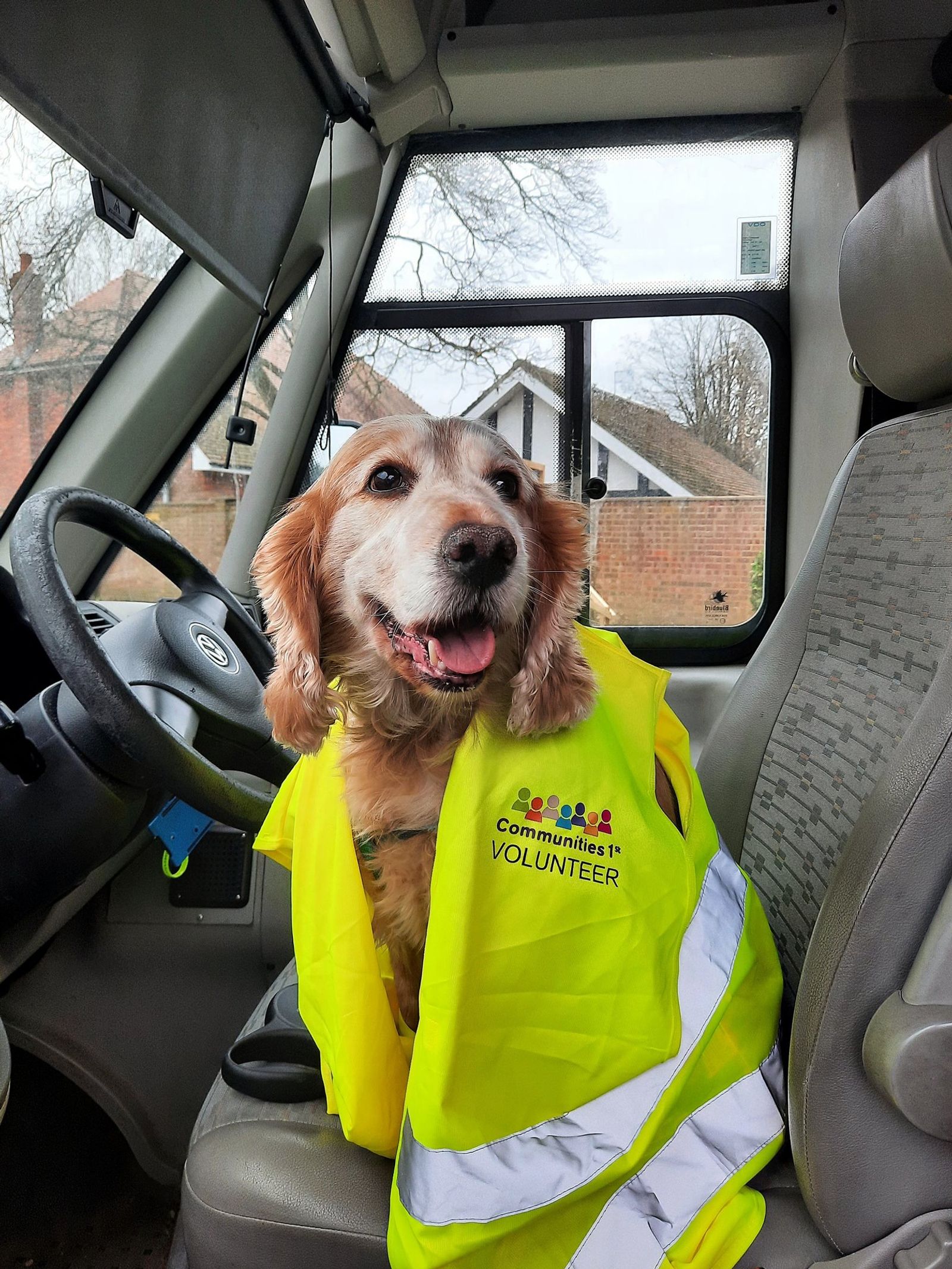 “We do not allow our canine volunteers to drive…” say Communities 1st.