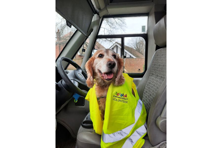 “We do not allow our canine volunteers to drive…” say Communities 1st.