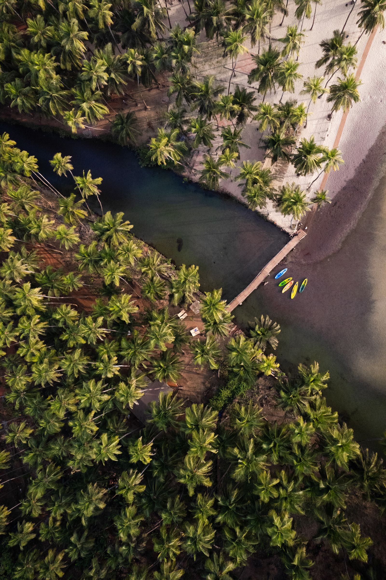 Aerial Shot of the palm trees at Cabo de Rama Beach