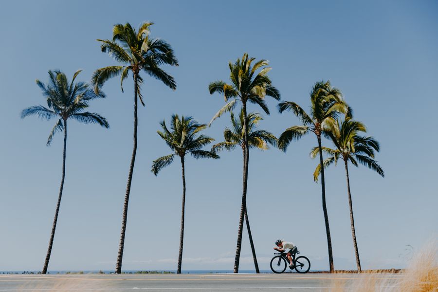 In the shadow of the palm trees