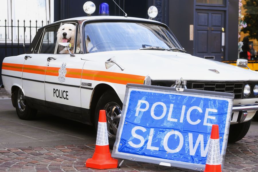 GLOUCESTER GOES RETRO IN GLOUCESTER  PAUL NICHOLLS     PN1
