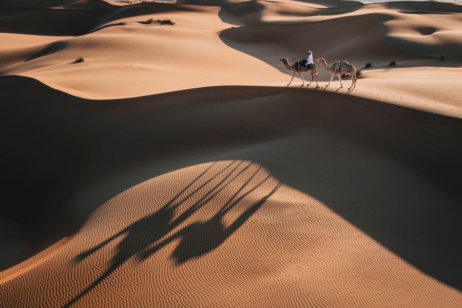 Carried by Shadows