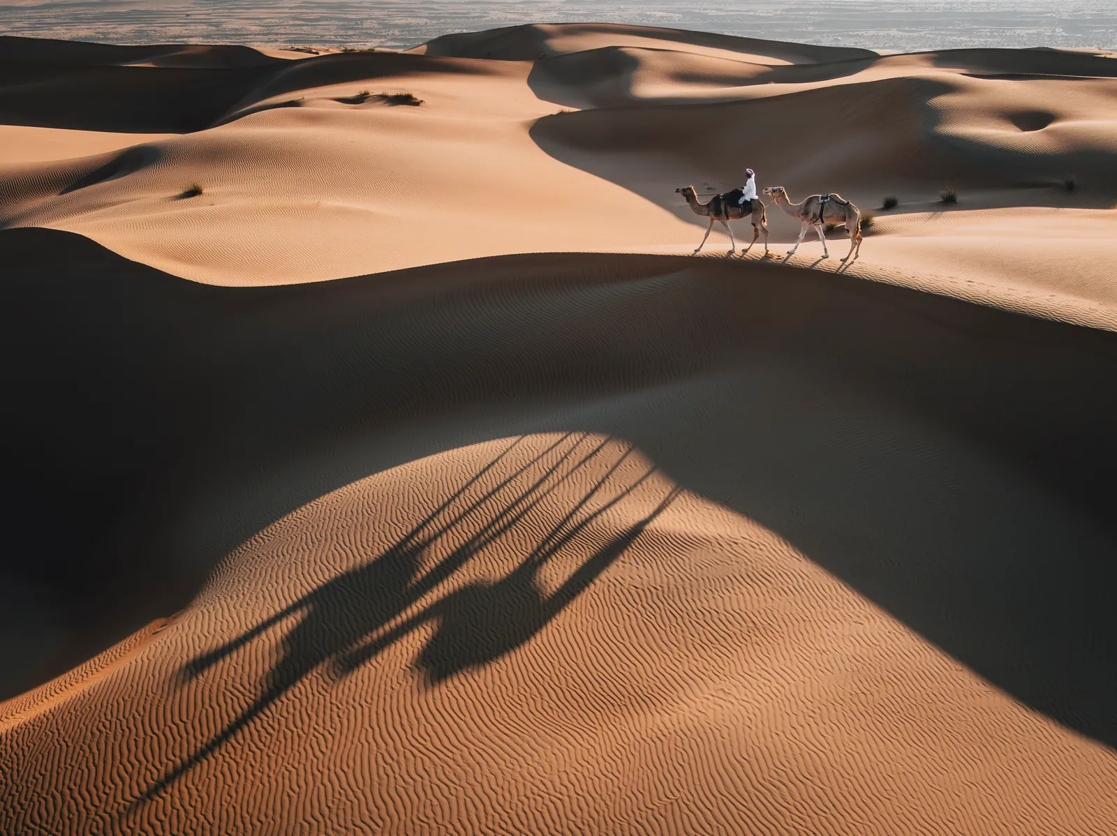 Carried by Shadows