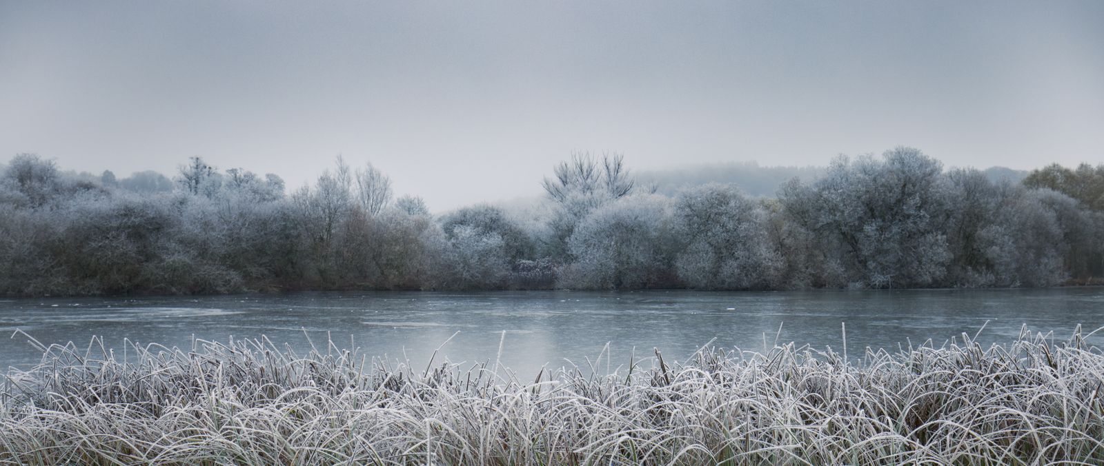 Winter’s Breath