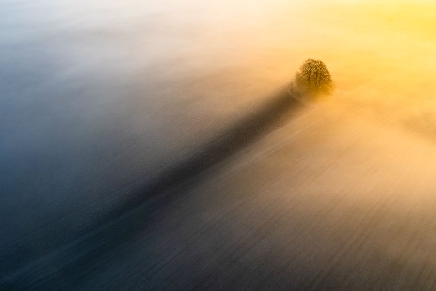 The Long Shadow