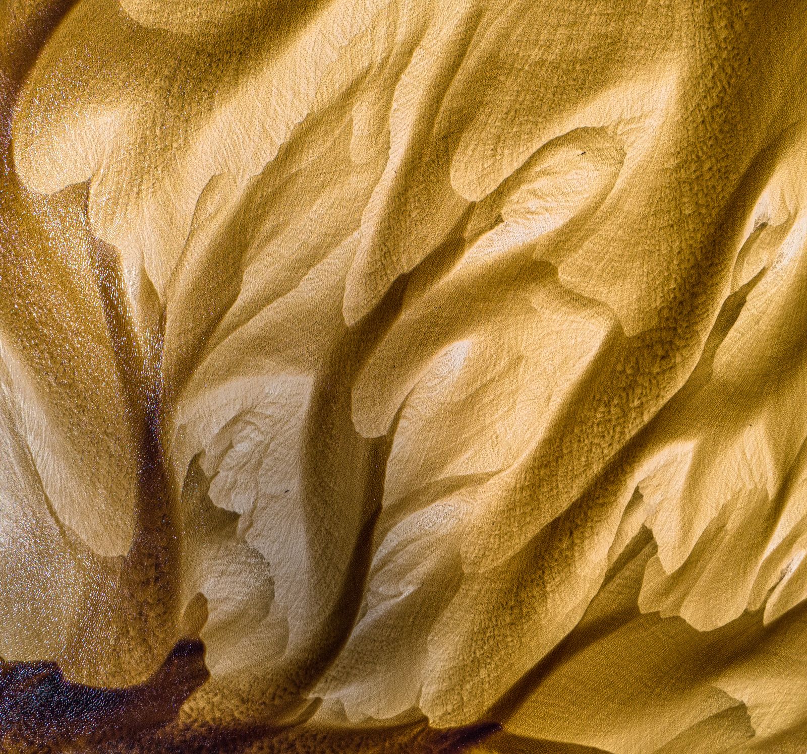 Sculpted