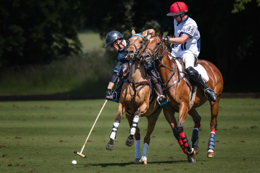 Polo Tussle