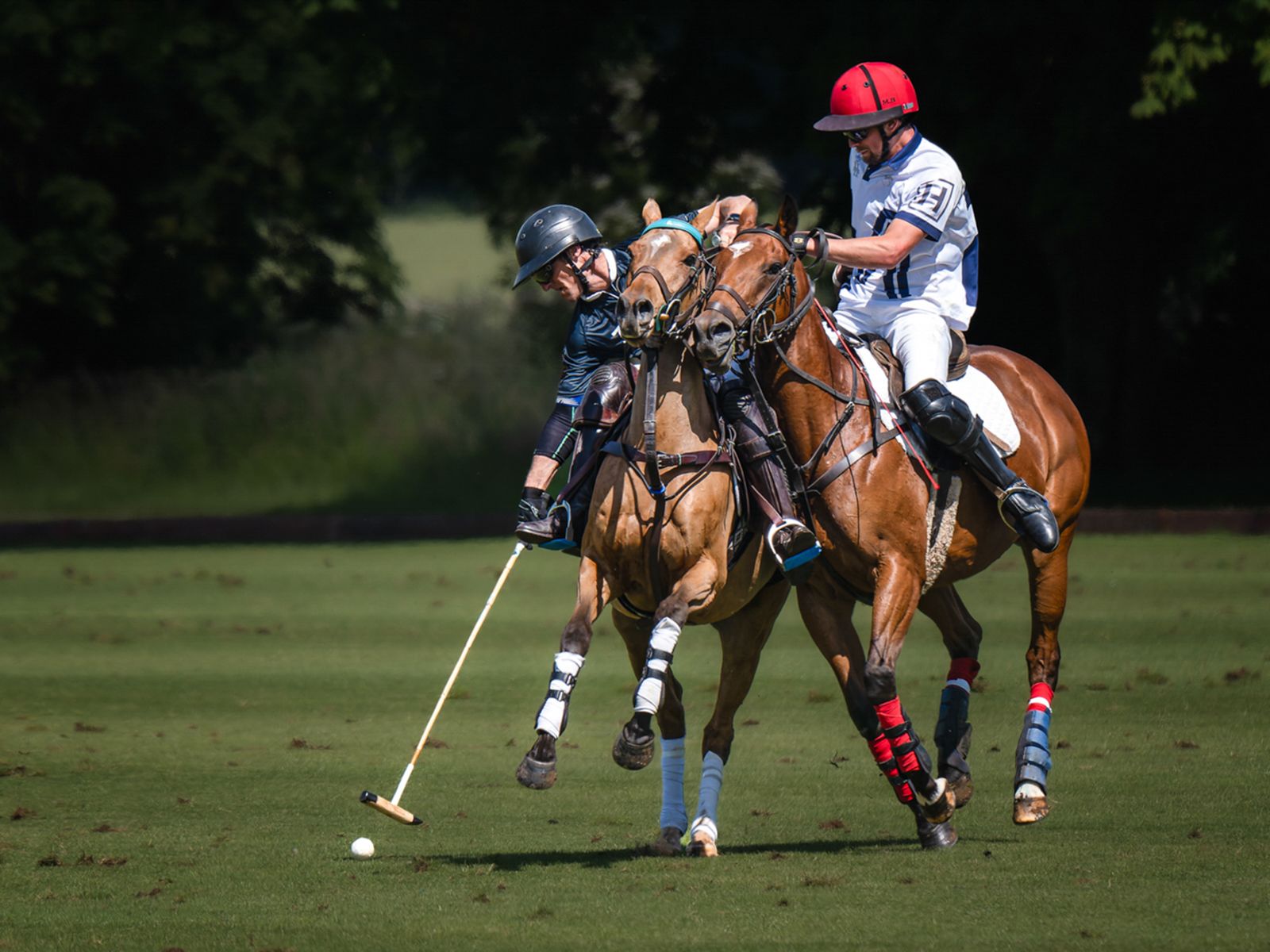 Polo Tussle