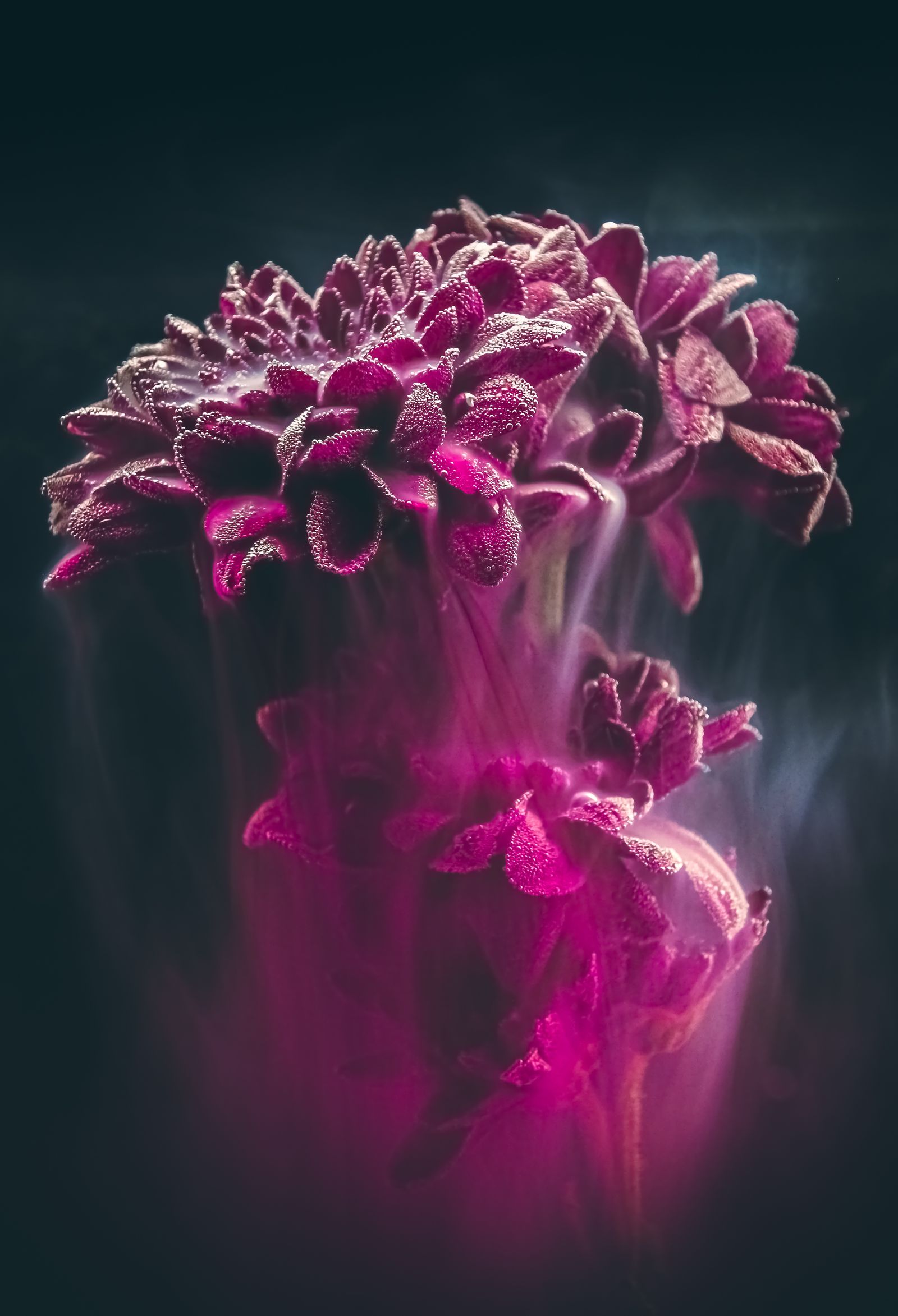 Submerged flower