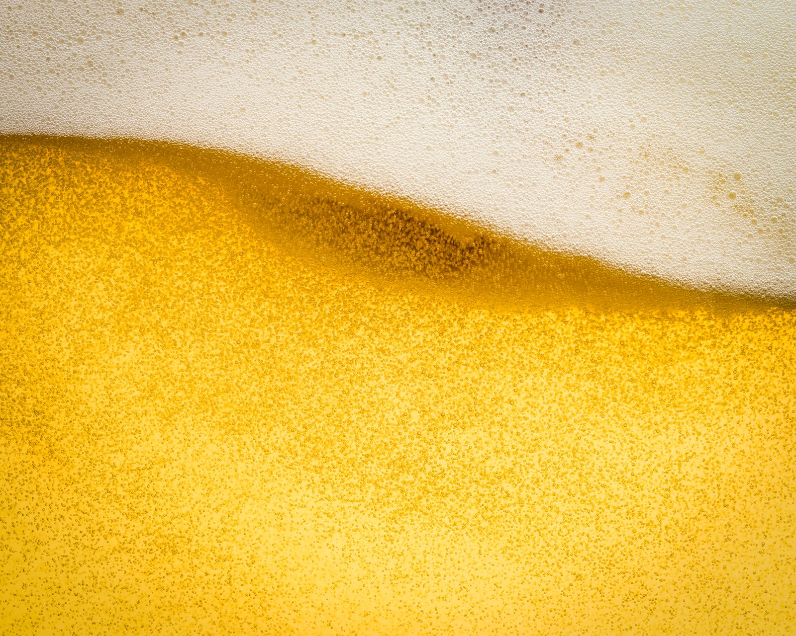 Wheat Beer
