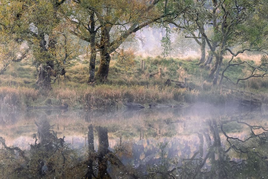 Reflections