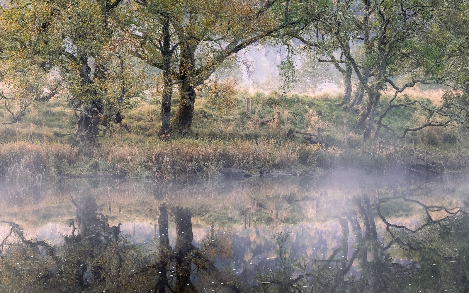 Reflections