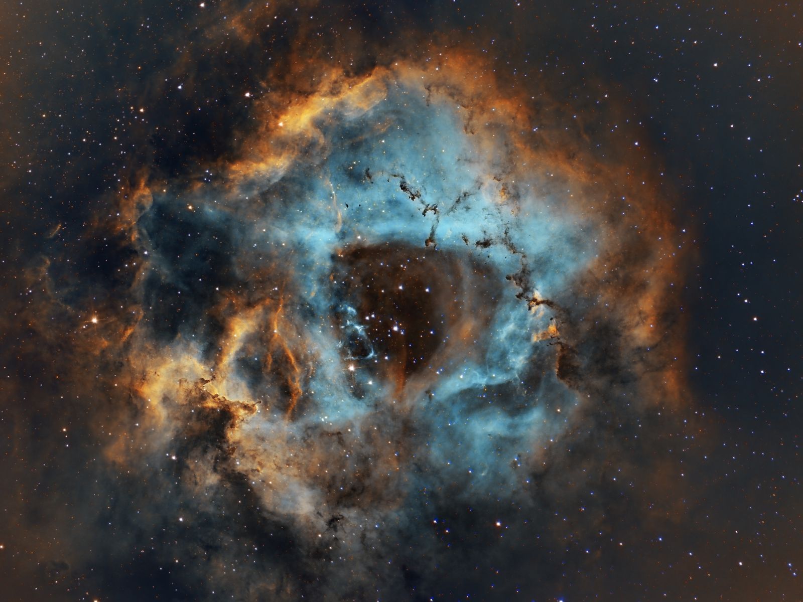 Rosette Nebula (NGC 2237)