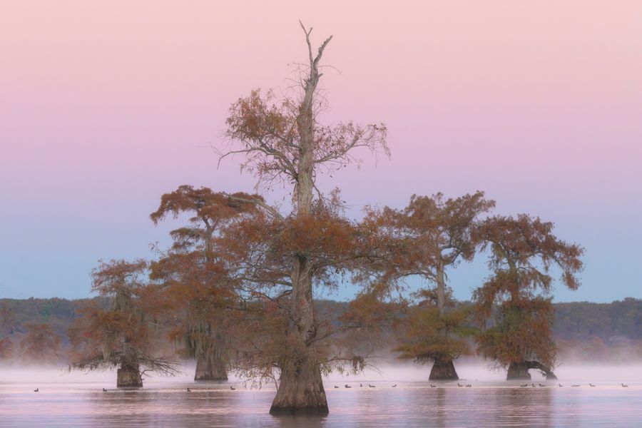 Blushing Lake