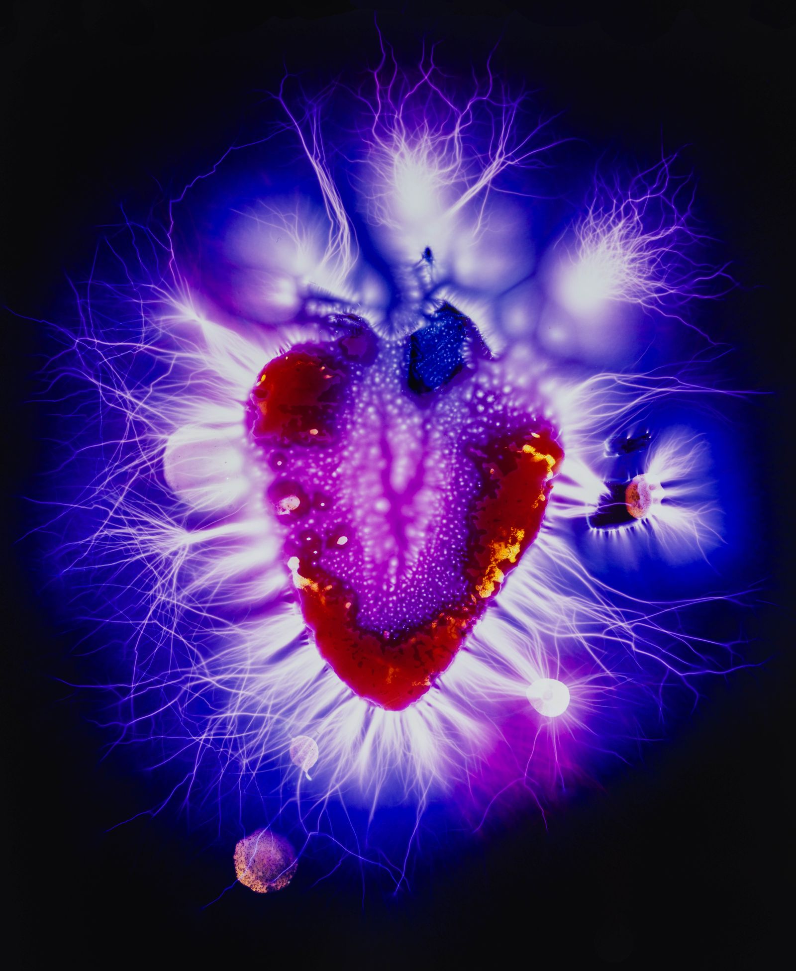 Kirlian Strawberry