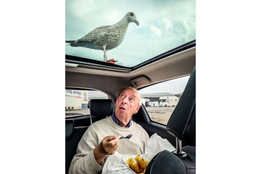 My Dad and the Greedy Gull