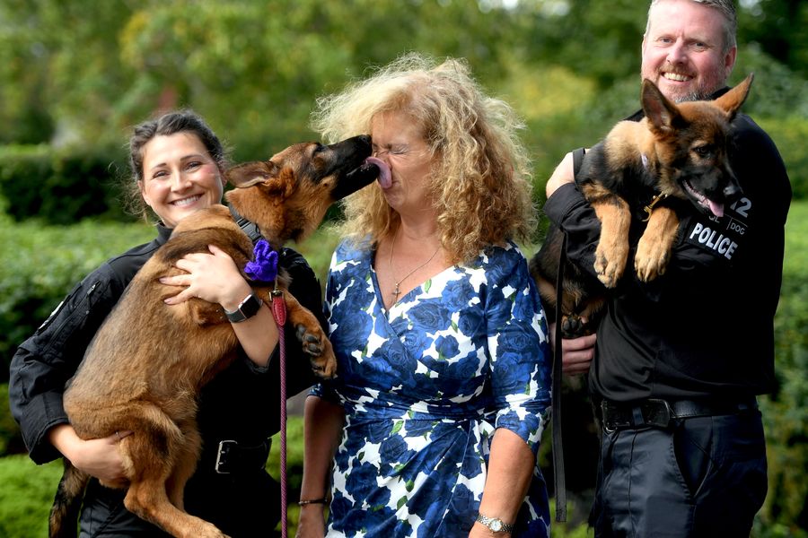 Police Dogs Awards Gloucestershire Police Paul Nicholls.JPG