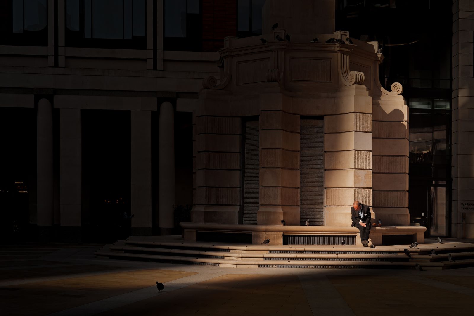 A Man and His Pigeons