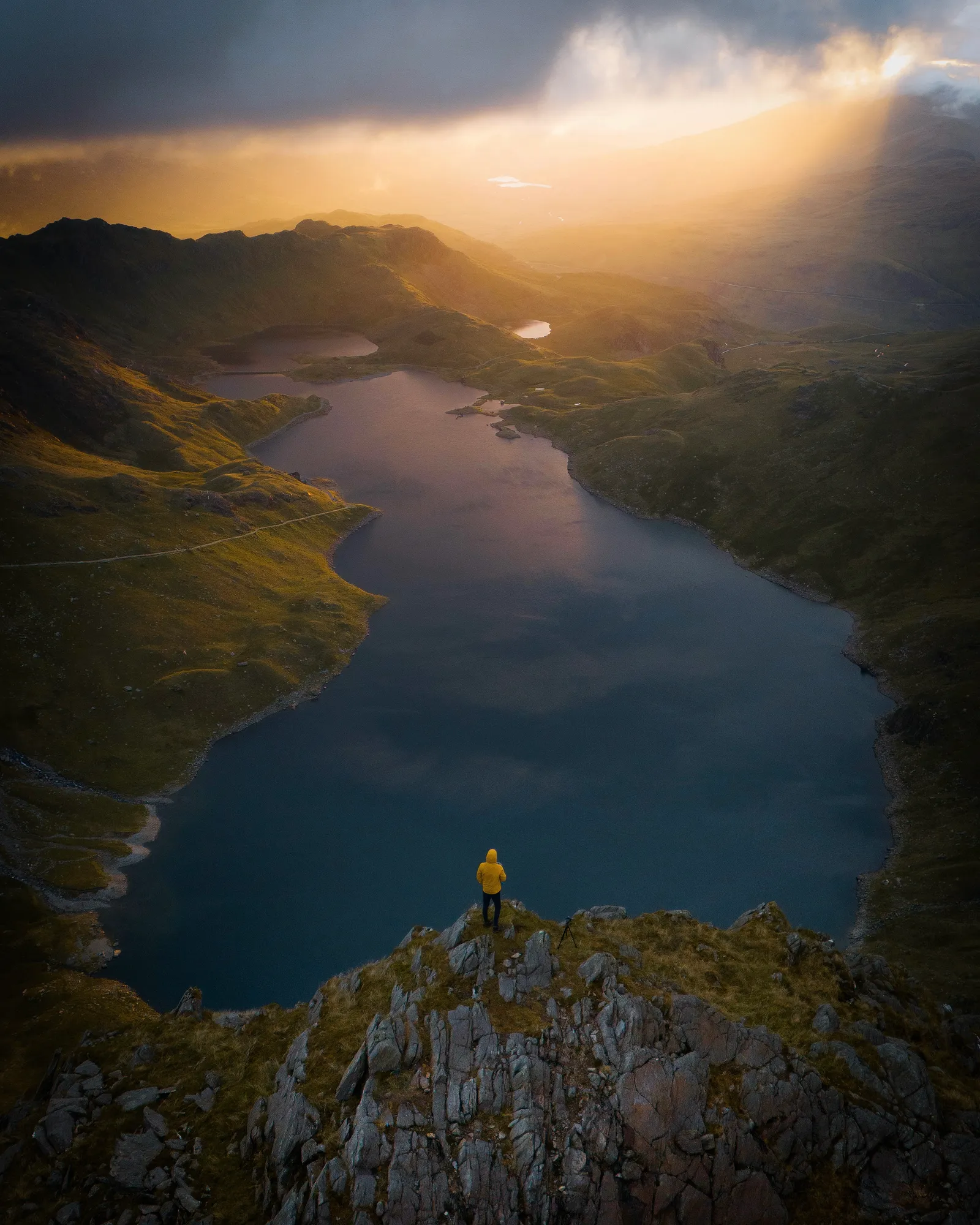 Everything the light touches