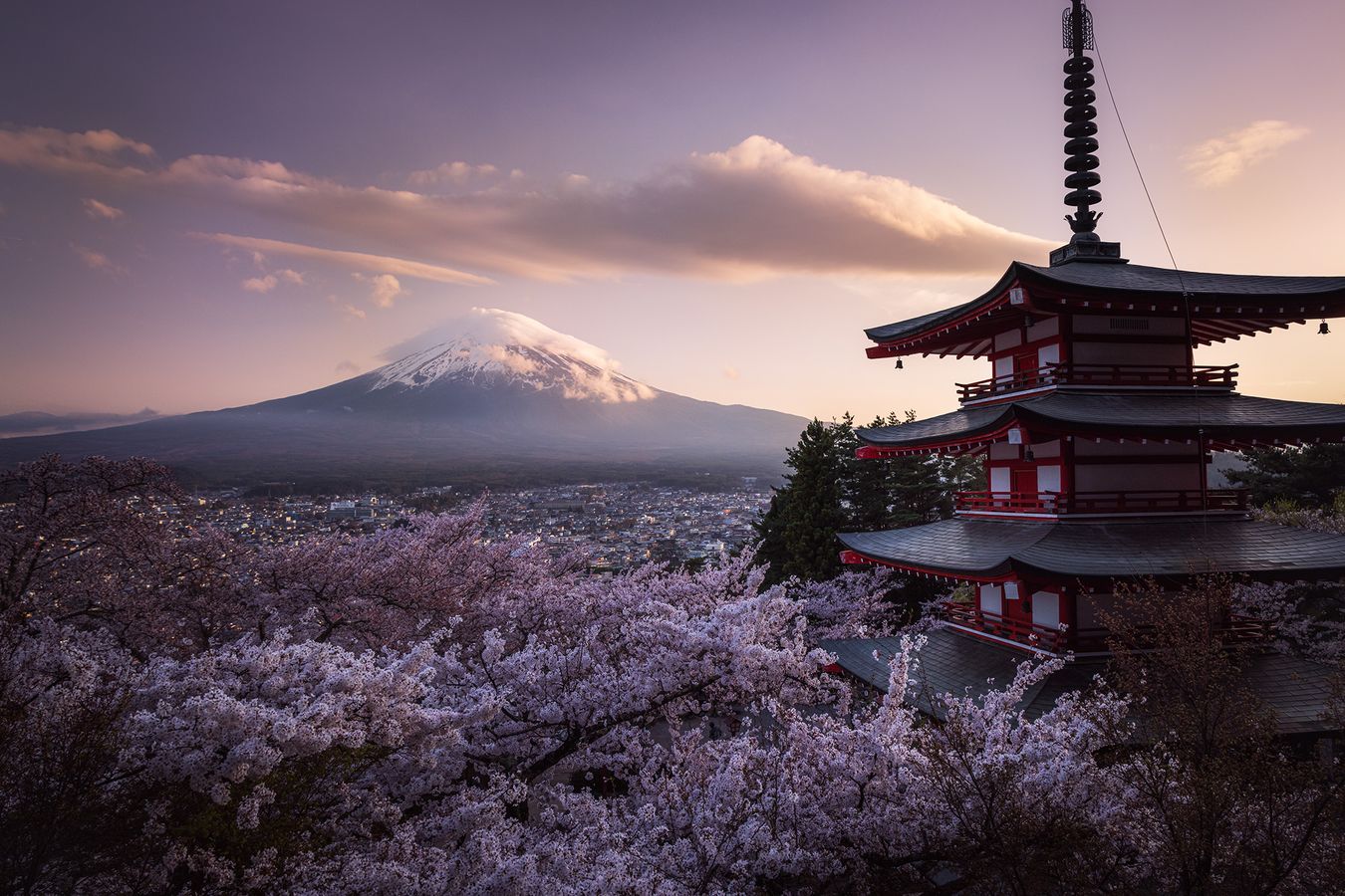 Cloud and Sakura blossom carpet