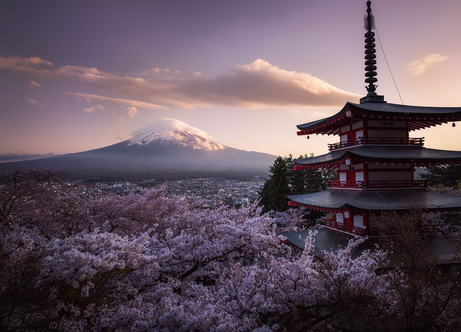 Cloud and Sakura blossom carpet