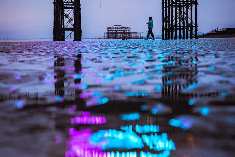 Neon Lights at Low Tide