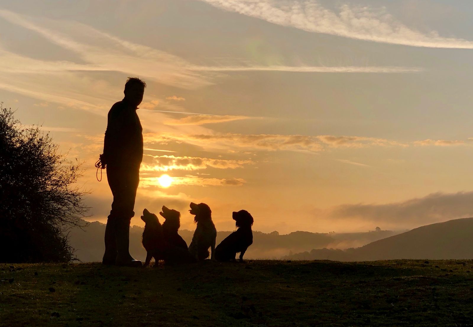 One Man And His Dogs