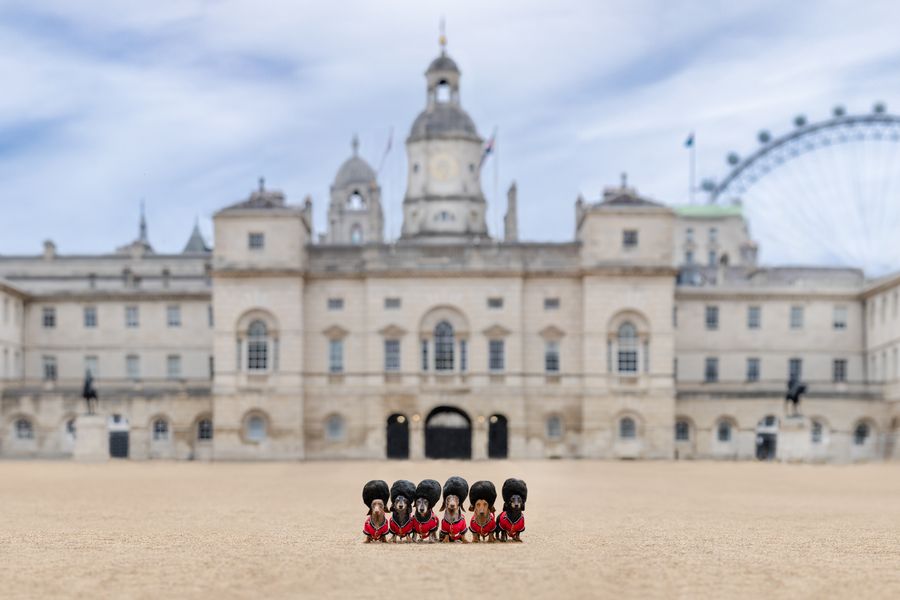 The Horse Guards