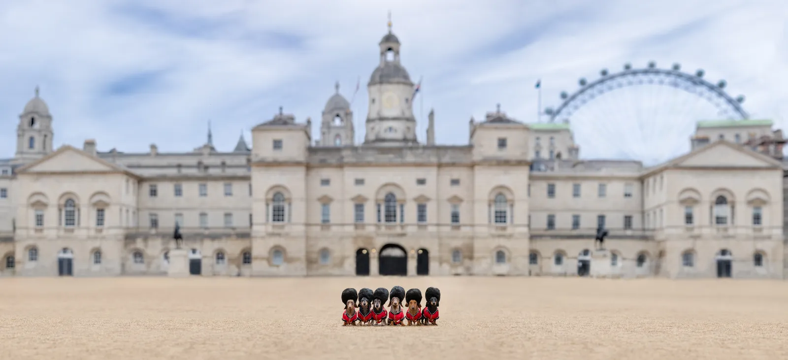 The Horse Guards