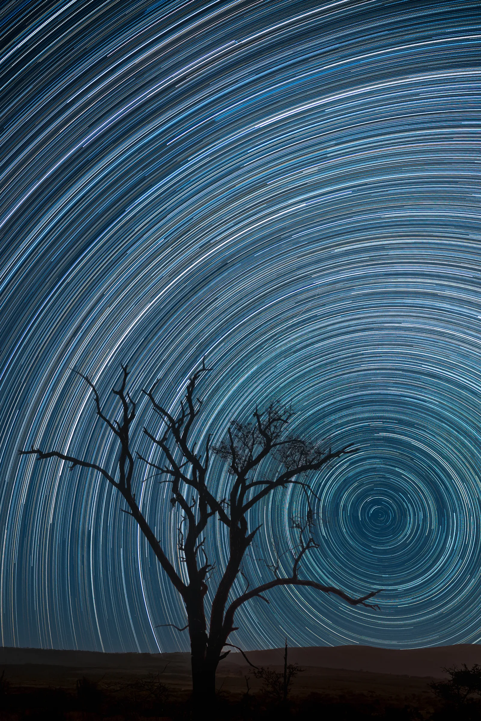 Southern Star Trails